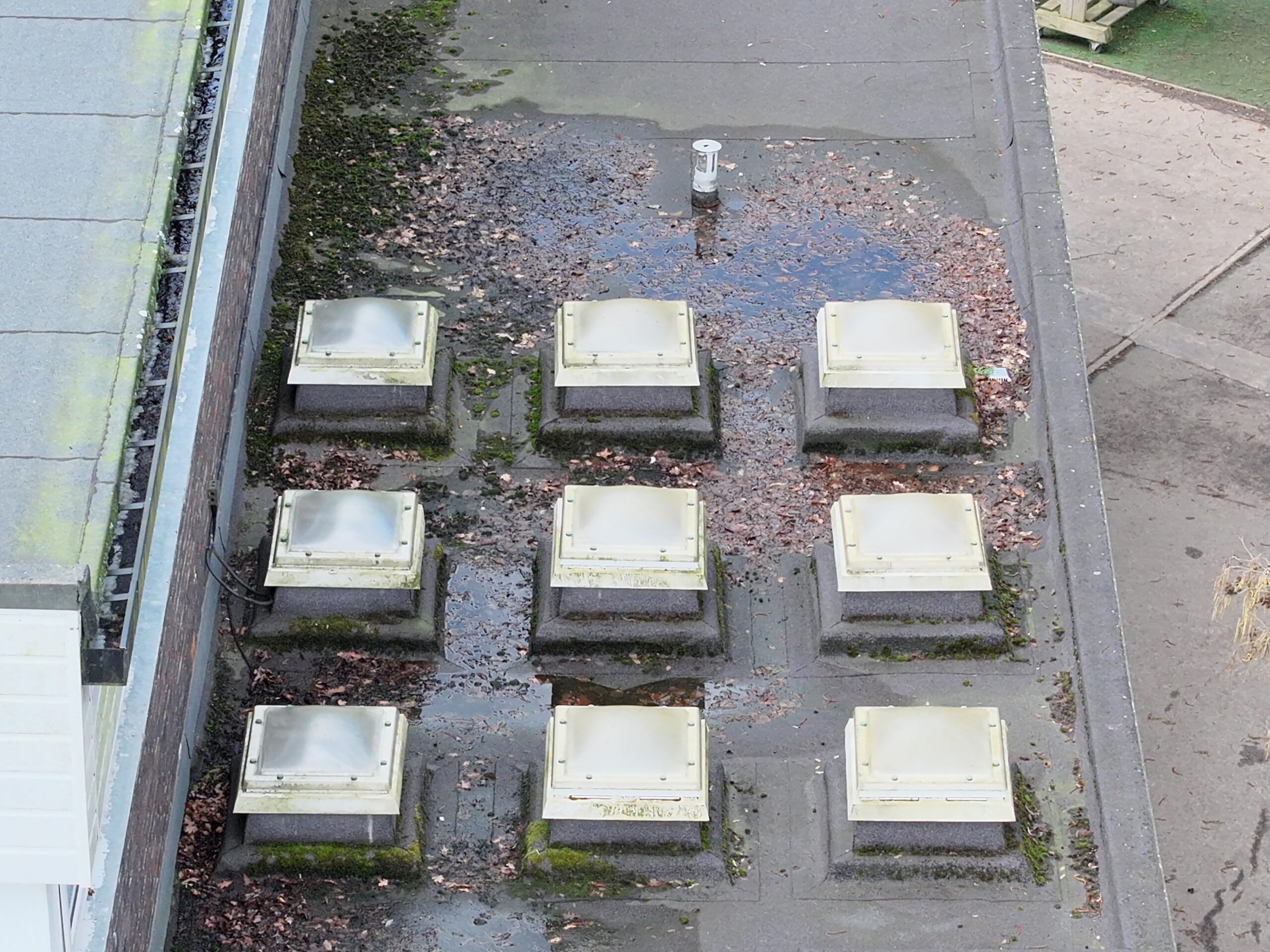 School roof inspection